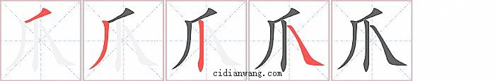 爪字笔顺分步演示图