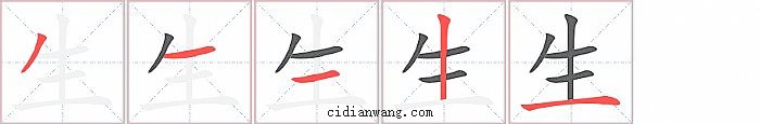 生字笔顺分步演示图