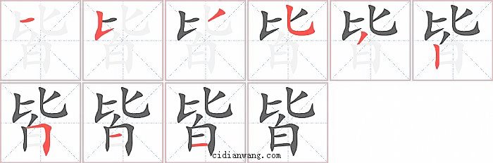 皆字笔顺分步演示图