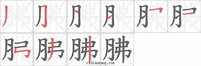 胇字笔顺分步演示图