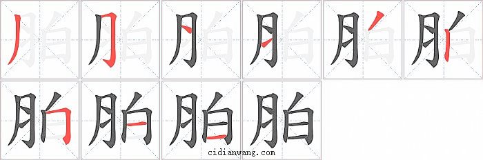 胉字笔顺分步演示图