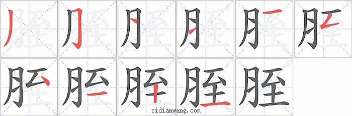 胵字笔顺分步演示图