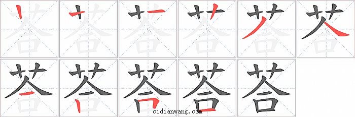 荅字笔顺分步演示图