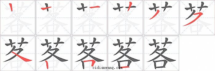 茖字笔顺分步演示图