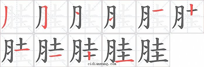 胿字笔顺分步演示图