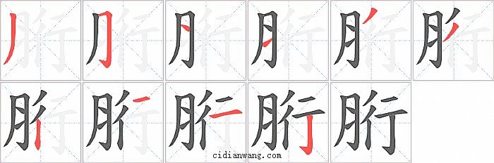 胻字笔顺分步演示图