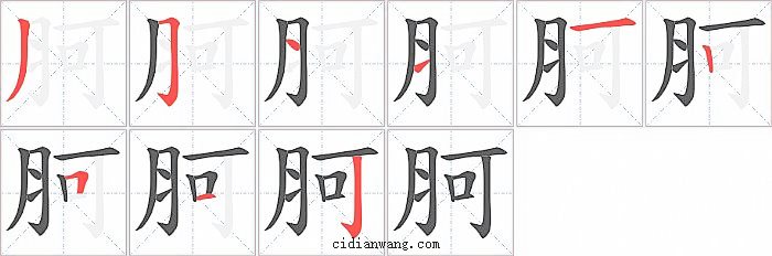 胢字笔顺分步演示图