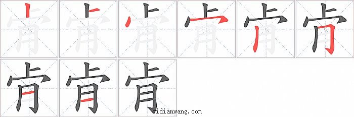 肻字笔顺分步演示图