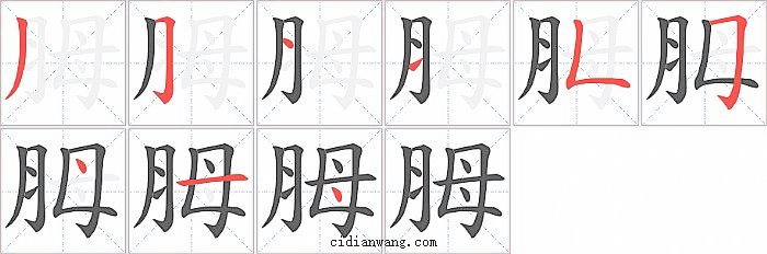 胟字笔顺分步演示图