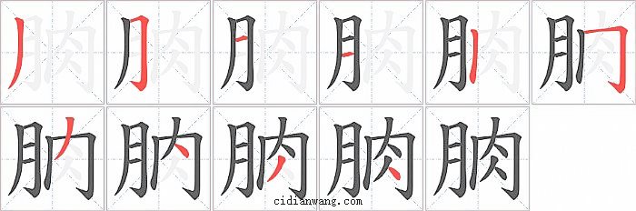 朒字笔顺分步演示图