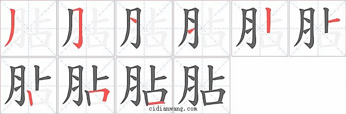 胋字笔顺分步演示图