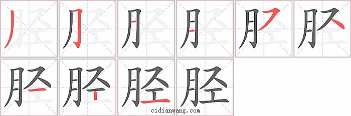 胫字笔顺分步演示图