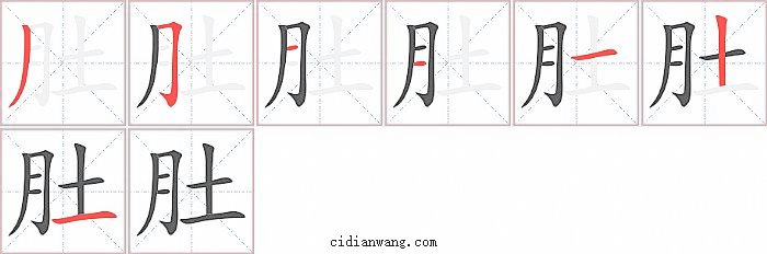 肚字笔顺分步演示图