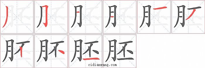 胚字笔顺分步演示图