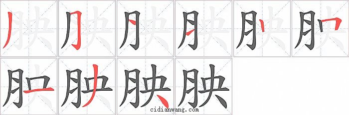 胦字笔顺分步演示图