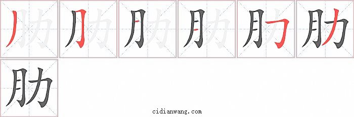 肋字笔顺分步演示图