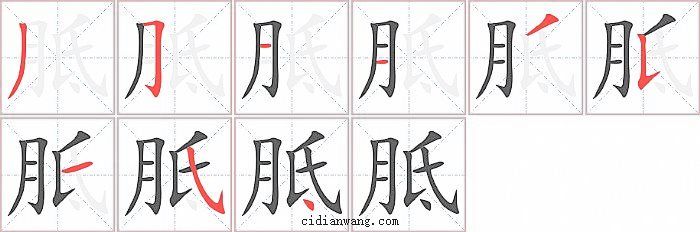 胝字笔顺分步演示图