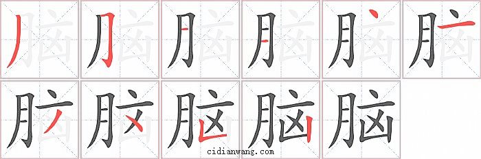 脑字笔顺分步演示图