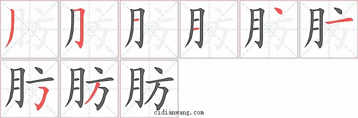 肪字笔顺分步演示图