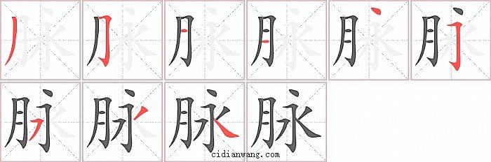 脉字笔顺分步演示图