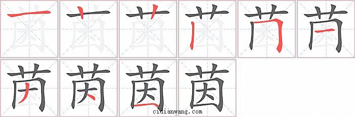 茵字笔顺分步演示图