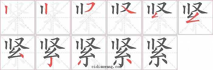 紧字笔顺分步演示图