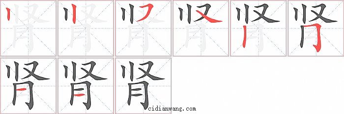 肾字笔顺分步演示图