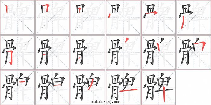 髀字笔顺分步演示图