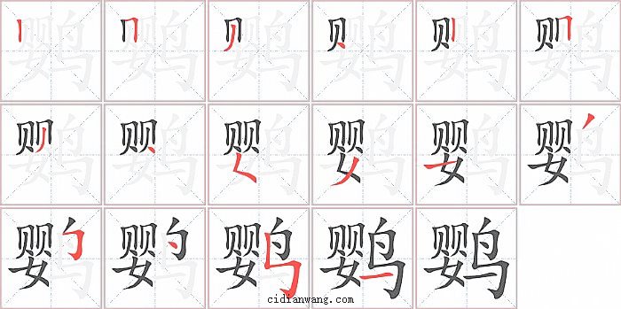 鹦字笔顺分步演示图