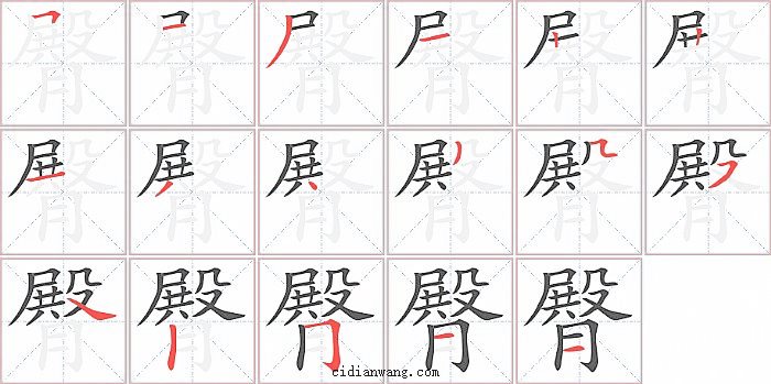 臀字笔顺分步演示图