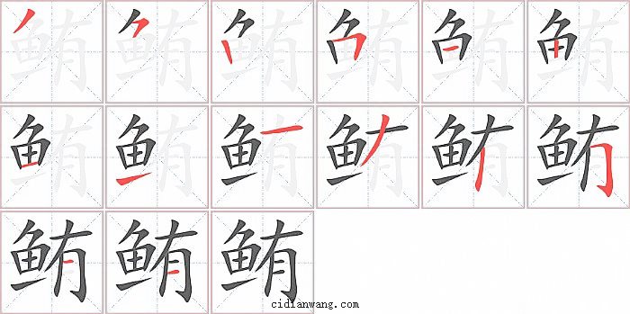 鲔字笔顺分步演示图