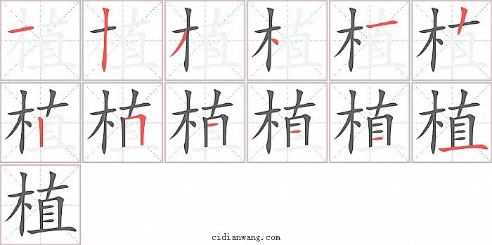 植字笔顺分步演示图