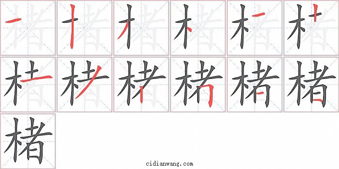 楮字笔顺分步演示图