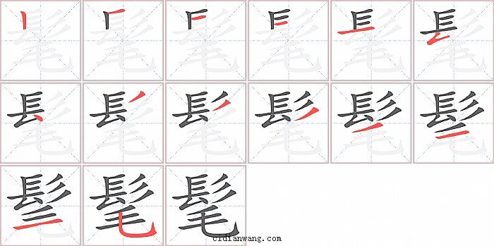 髦字笔顺分步演示图