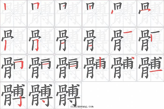 髆字笔顺分步演示图