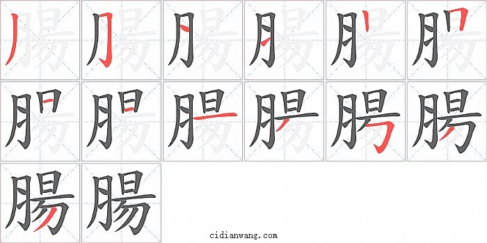 腸字笔顺分步演示图