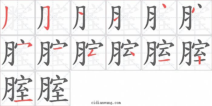 腟字笔顺分步演示图