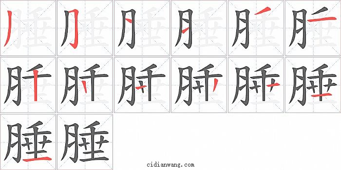 腄字笔顺分步演示图