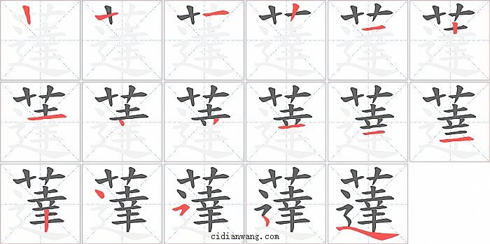 薘字笔顺分步演示图