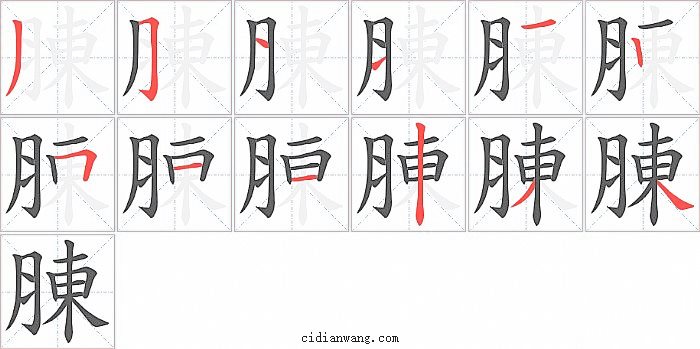 腖字笔顺分步演示图