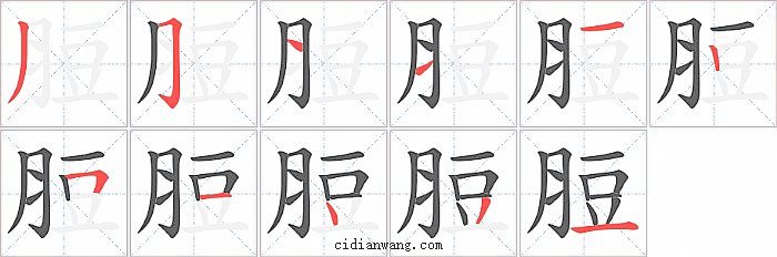 脰字笔顺分步演示图