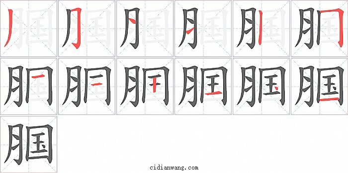 腘字笔顺分步演示图