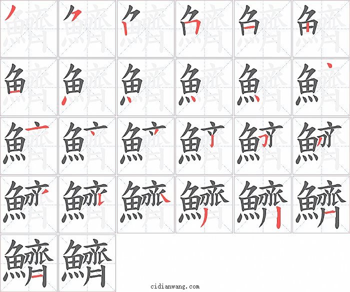 鱭字笔顺分步演示图