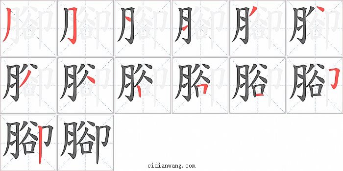 腳字笔顺分步演示图