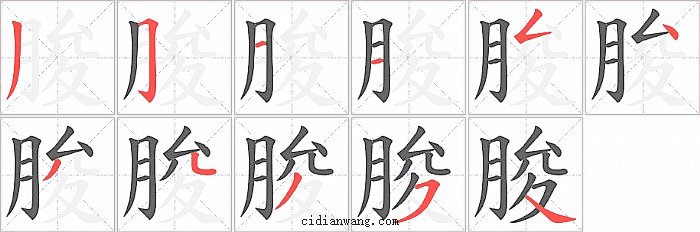 朘字笔顺分步演示图