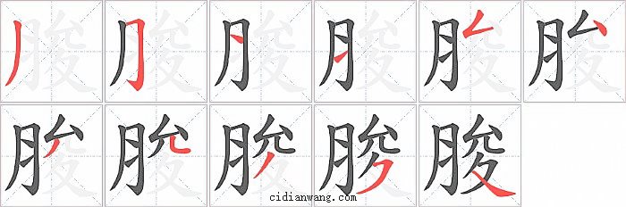 脧字笔顺分步演示图