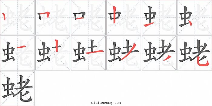 蛯字笔顺分步演示图