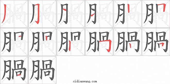 腡字笔顺分步演示图