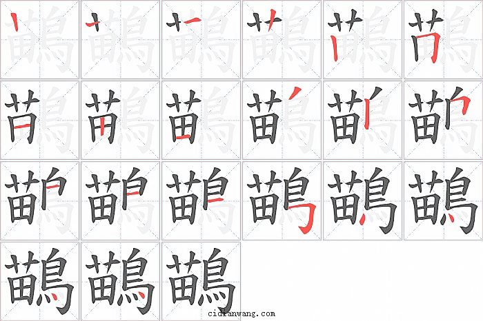 鶓字笔顺分步演示图