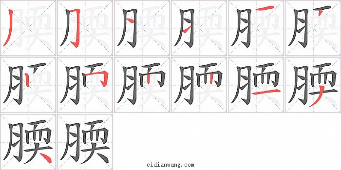 腝字笔顺分步演示图